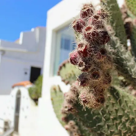 Bougainvillea Bamira Hotel Maspalomas (Gran Canaria)
